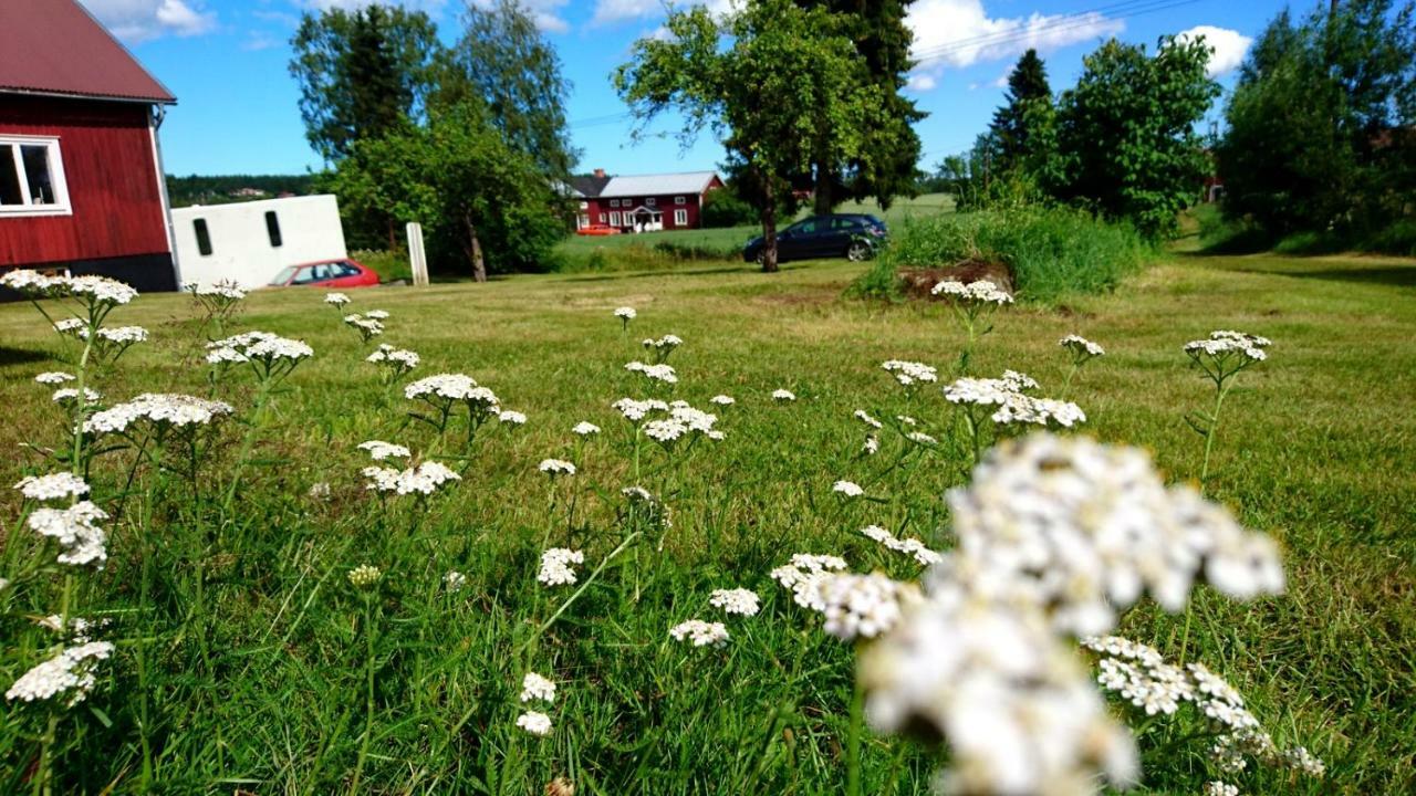 Ett Hus Med 3 Sovrum Med Supersnabba Internet Fiberanslutningen 1000Mb-100Mb I Hoeg, 7 Minuter Fran Hudiksvall Βίλα Εξωτερικό φωτογραφία